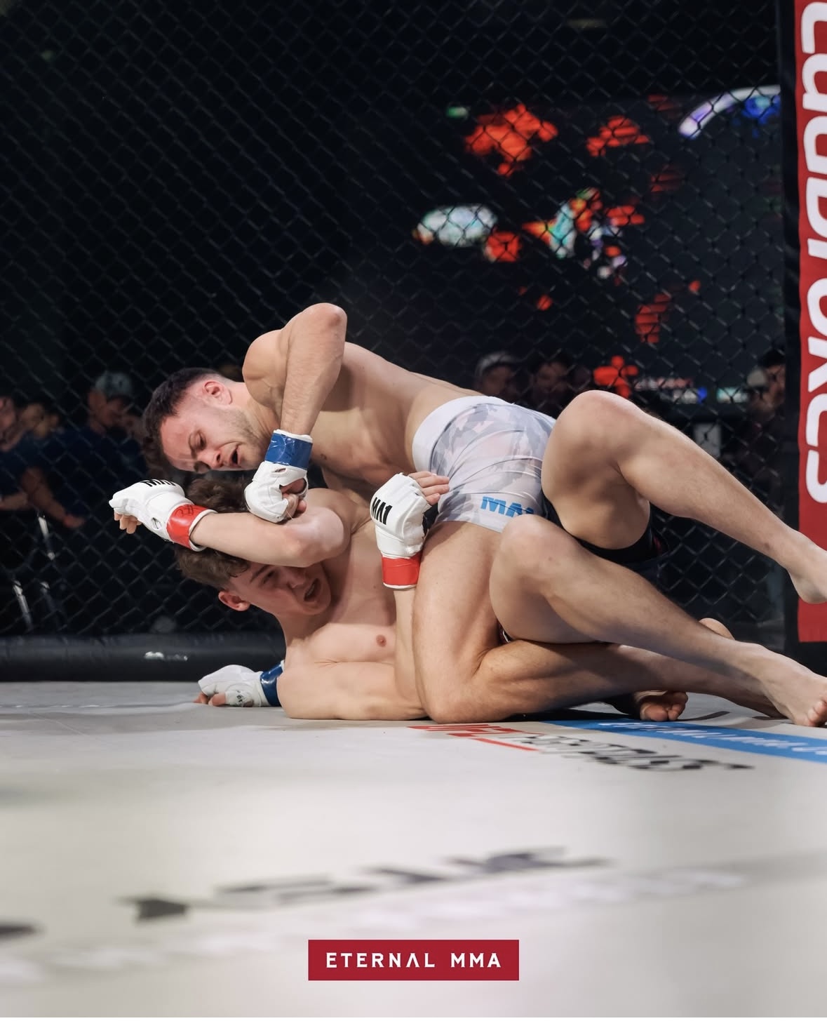 Screenshot Screenshot